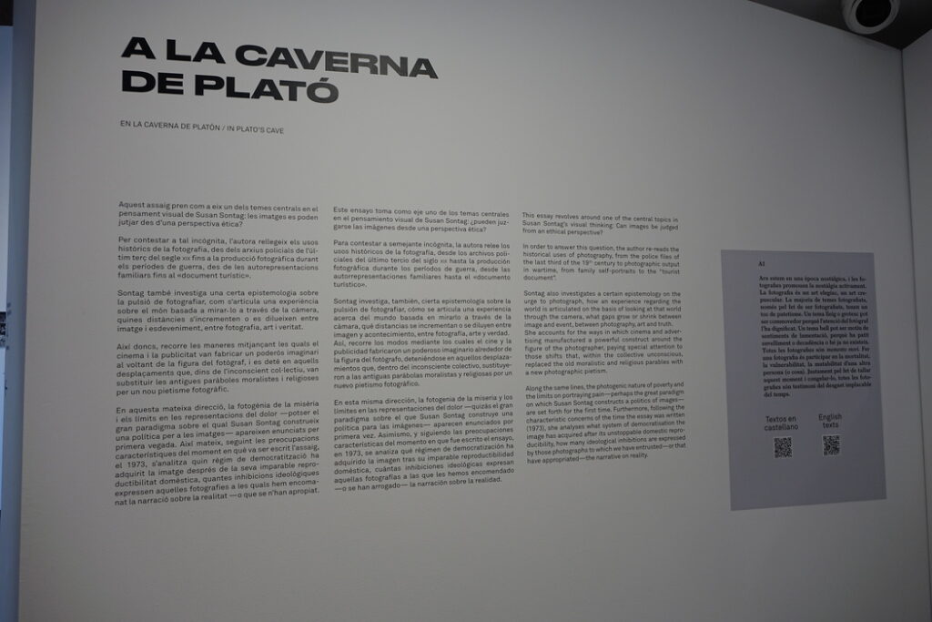 Сьюзен Зонтаг: «О фотографии» – Московский Женский Музей